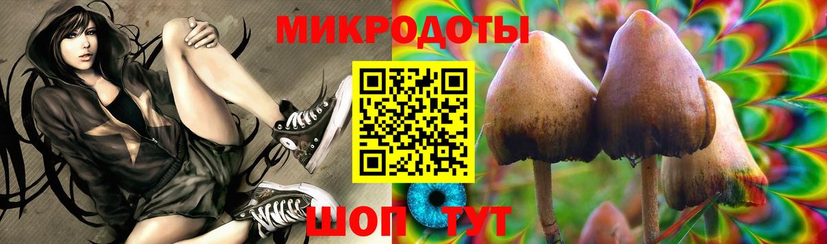 Псилоцибиновые грибы GOLDEN TEACHER Энгельс
